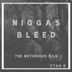 THE NOTORIOUS B.I.G - Niggas Bleed (CTAH B REMIX)