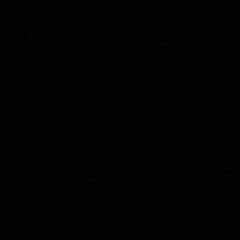 1011/next up? Digga D