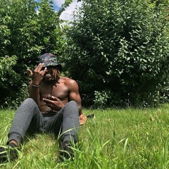 Social Visits: Groovy Trees