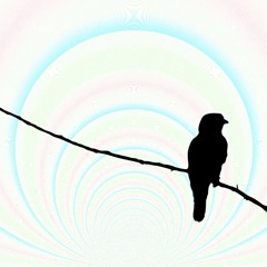blackbird (cover)