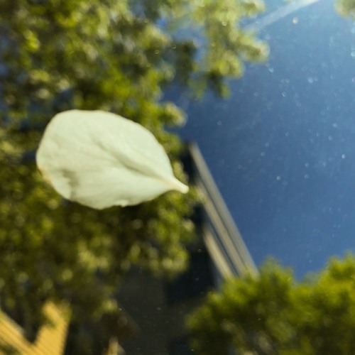 Simple Twist Of Fate (Bob Dylan Cover)