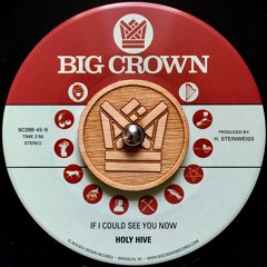 Holy Hive - If I Could See You Now
