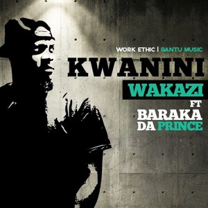 Kwanini ft. Baraka The Prince