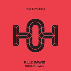 HLS046 Klle Dawid - Organ Crazy (Original Mix)