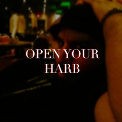 Ali Harb - Open Your Harb