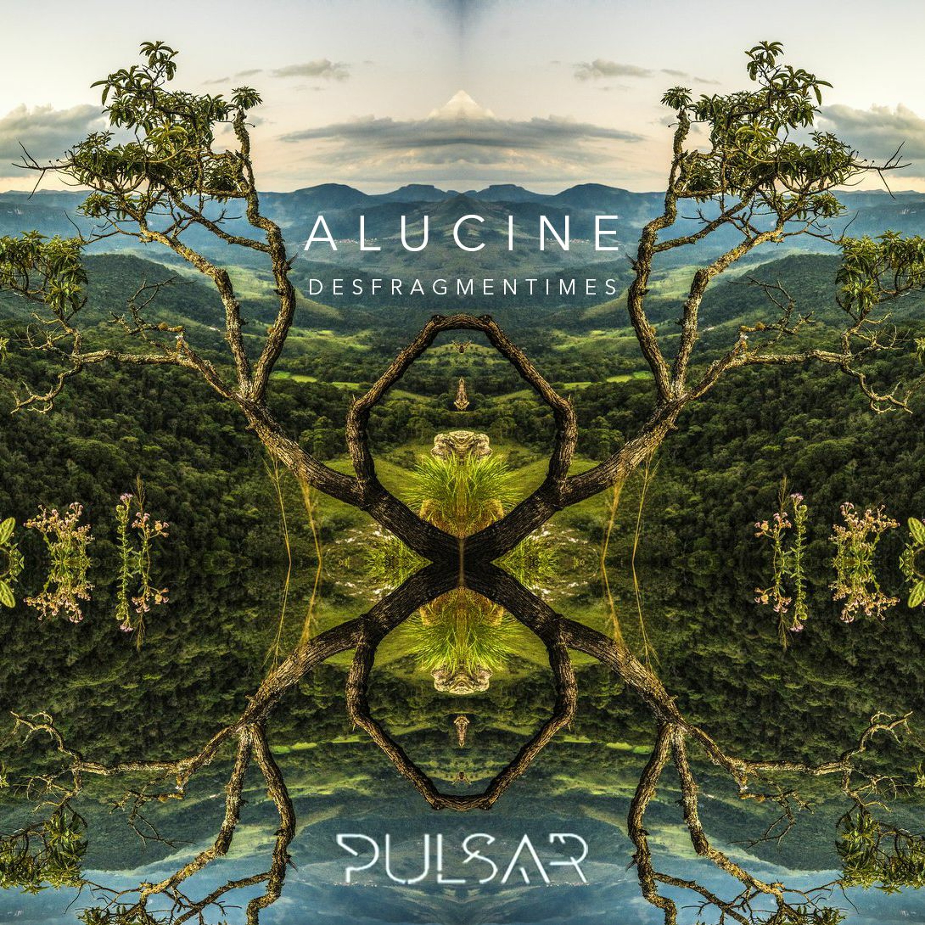 Alucine