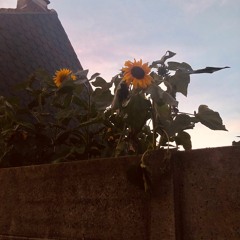 Summertime sadness - Lana del Rey (cover) prod. by Cath.