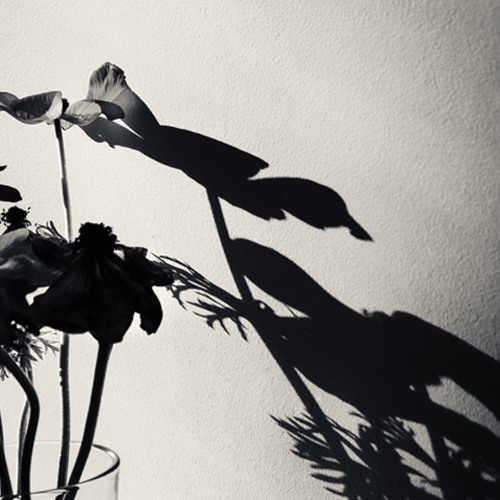 Lawrence Dix - July 2019 (Live Recording)