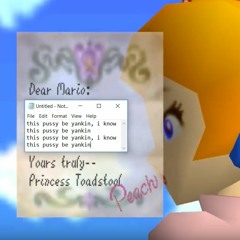 WTF PEACH NO YOU CAN'T SAY THAT