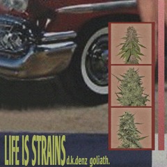 d.k.denz x goliath - 06 honey g // life is strains