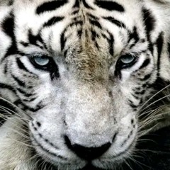 عايم في بحر الغادر