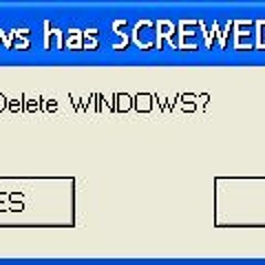 IN THE END - WINDOWS XP SCREWED UP