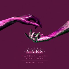 NOWHERE TO GO (DAVID VAES REMIX) -  Hayden James & NAATIONS