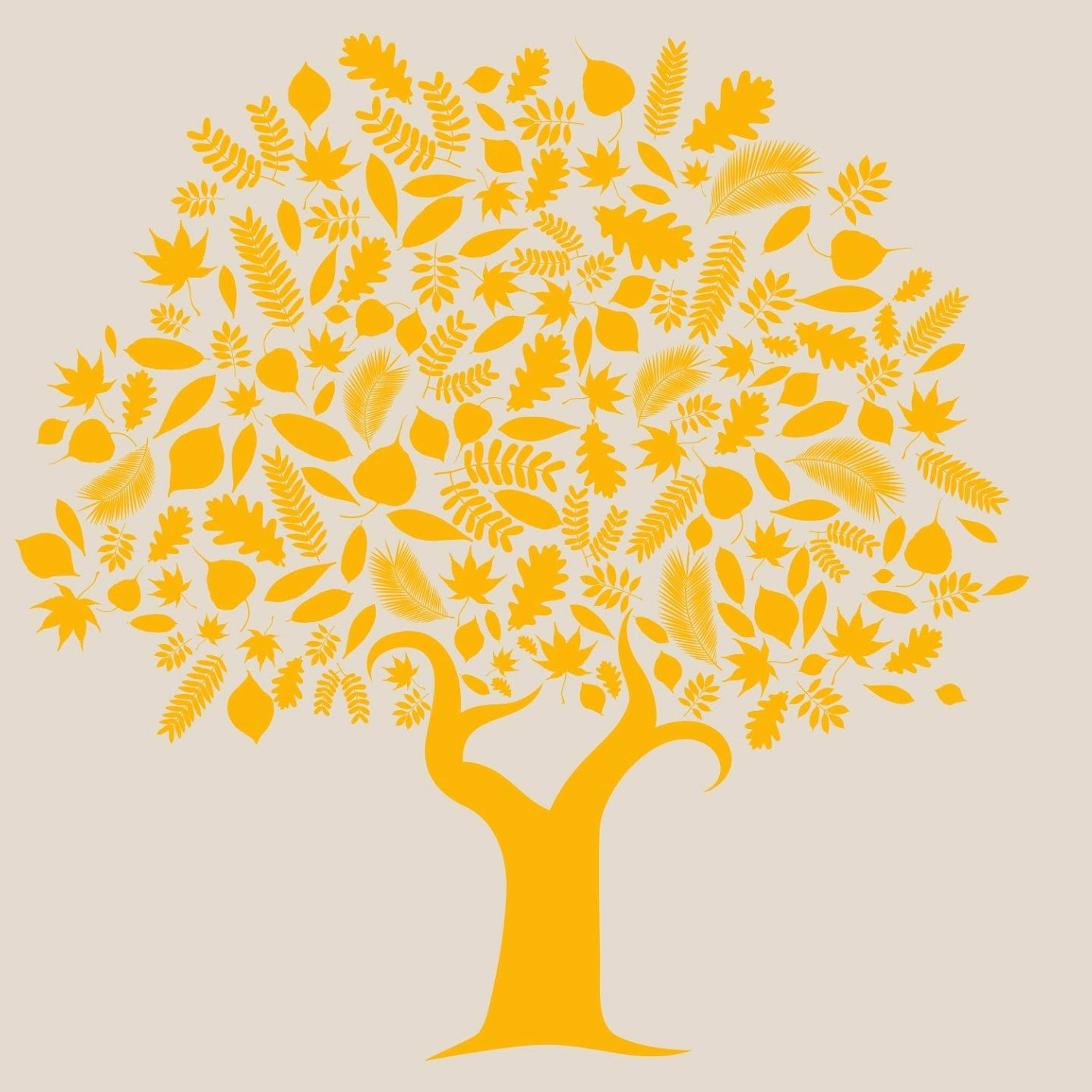 Humanitarian Hub Podcast - Episode 4, Dr. Claudia Seymour episode artwork