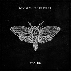 Drown In Sulphur - Moths