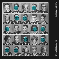 Shedbug - Going Back