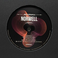 Norwell - Ultima Thule [MTRON014]