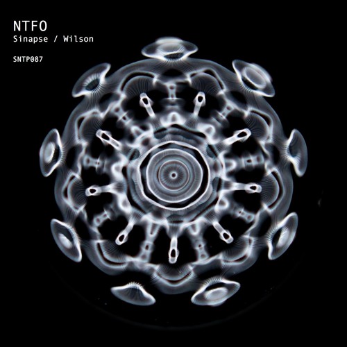 Sinapse (SNTP087) preview