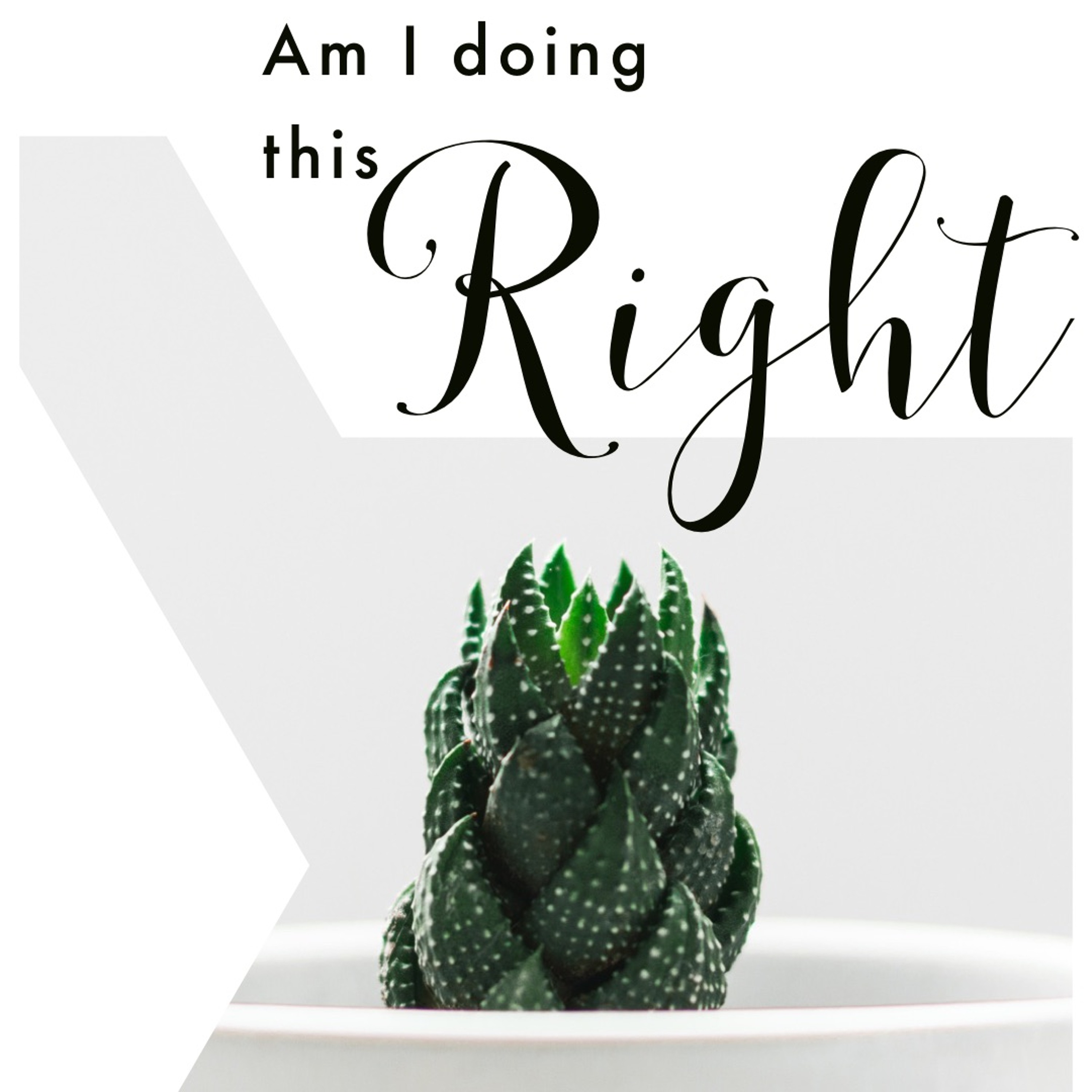 Am I ? episode artwork
