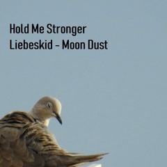 Hold Me Stronger - Liebeskid - Moon Dust