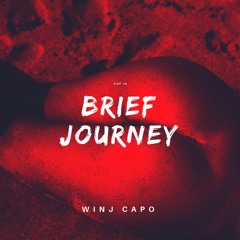 Flo Tonic - Universe Personified 16''