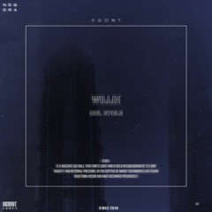 Willix - Ciel étoilé