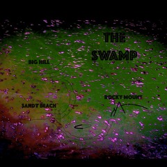 The Swamp  (coprod Dashiel)