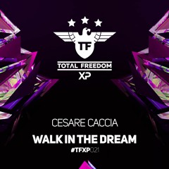 Cesare Caccia -Walk In The Dream