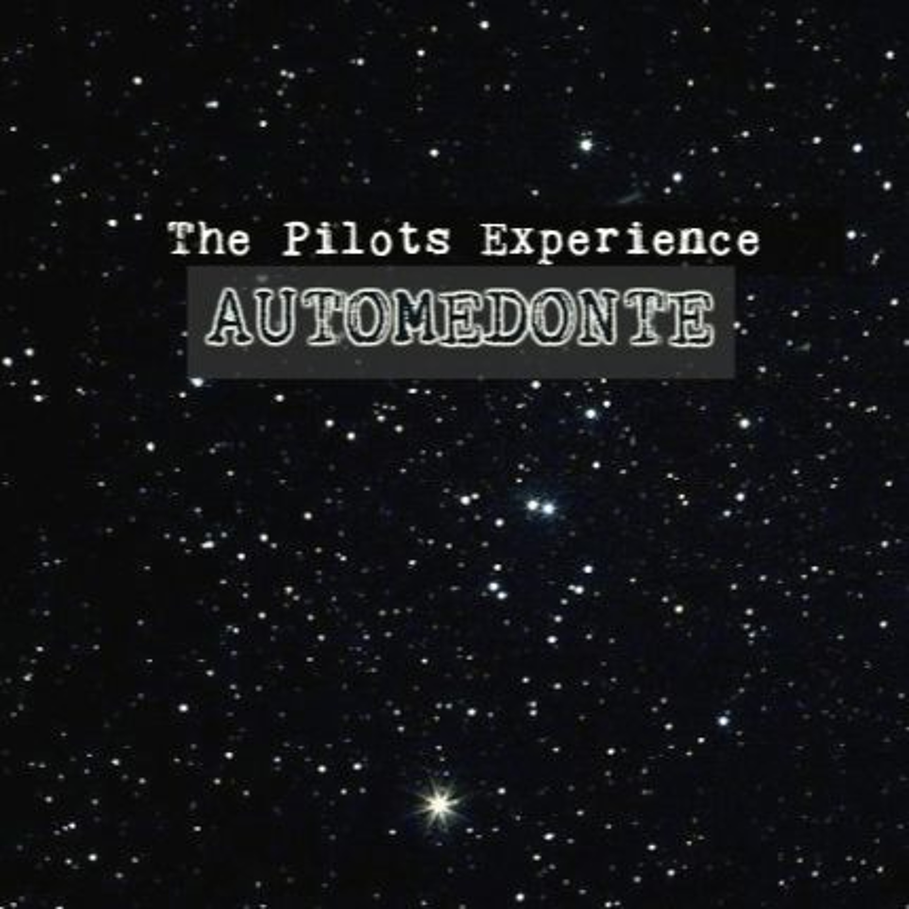 The Pilots Experience