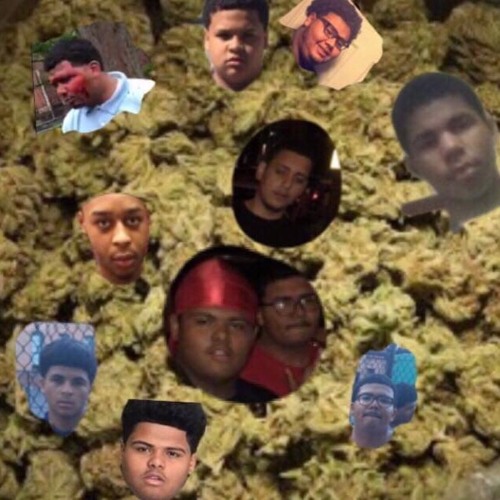 OPP IN THE AIR