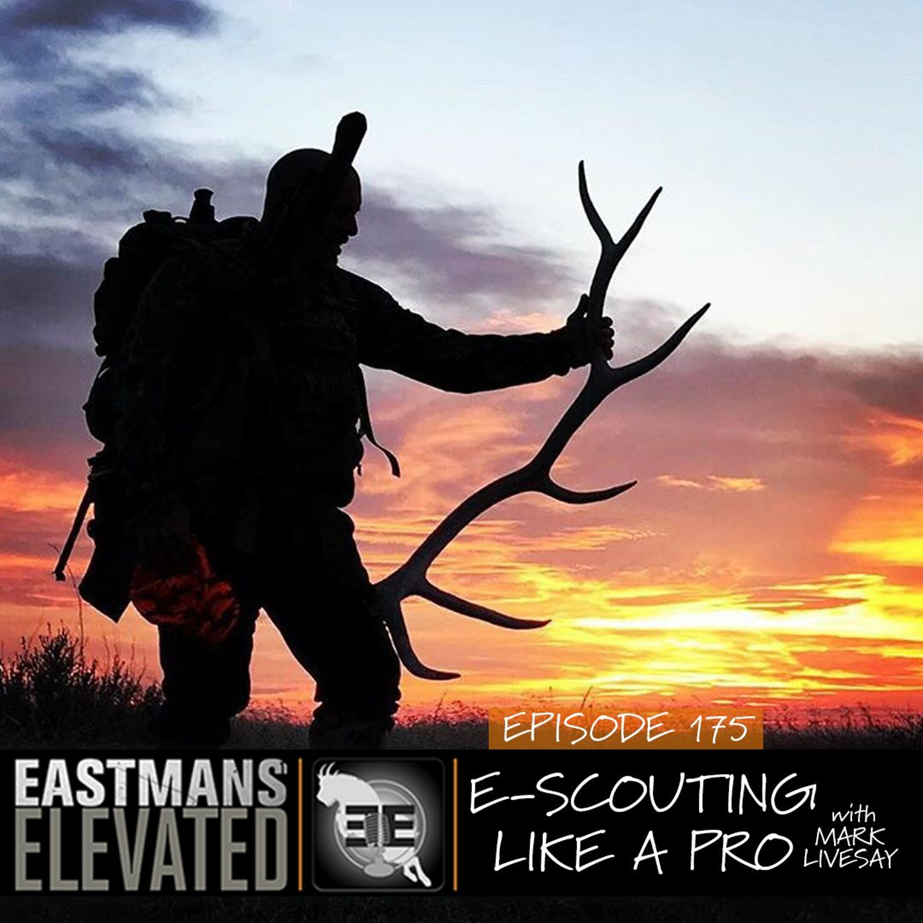 Episode 175: E-Scouting Like a Pro with Mark Livesay