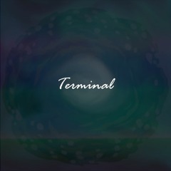 Tales From The Citadel - Terminal [EVH's Cover]