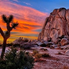 Antelope Valley Playlist