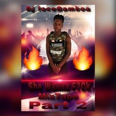 Dj locoGamboa- She Wanna F!ck Part 2