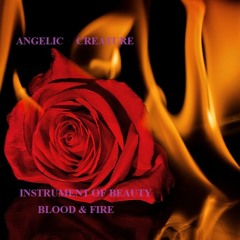 Instrument Of Beauty Blood & Fire