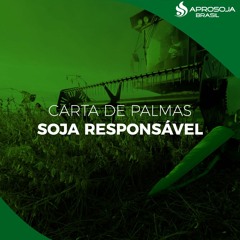 Podcast: A Carta De Palmas