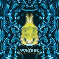 Voltage