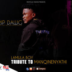 Tribute to Manqinenyathi (Prod. By Papasiyera)