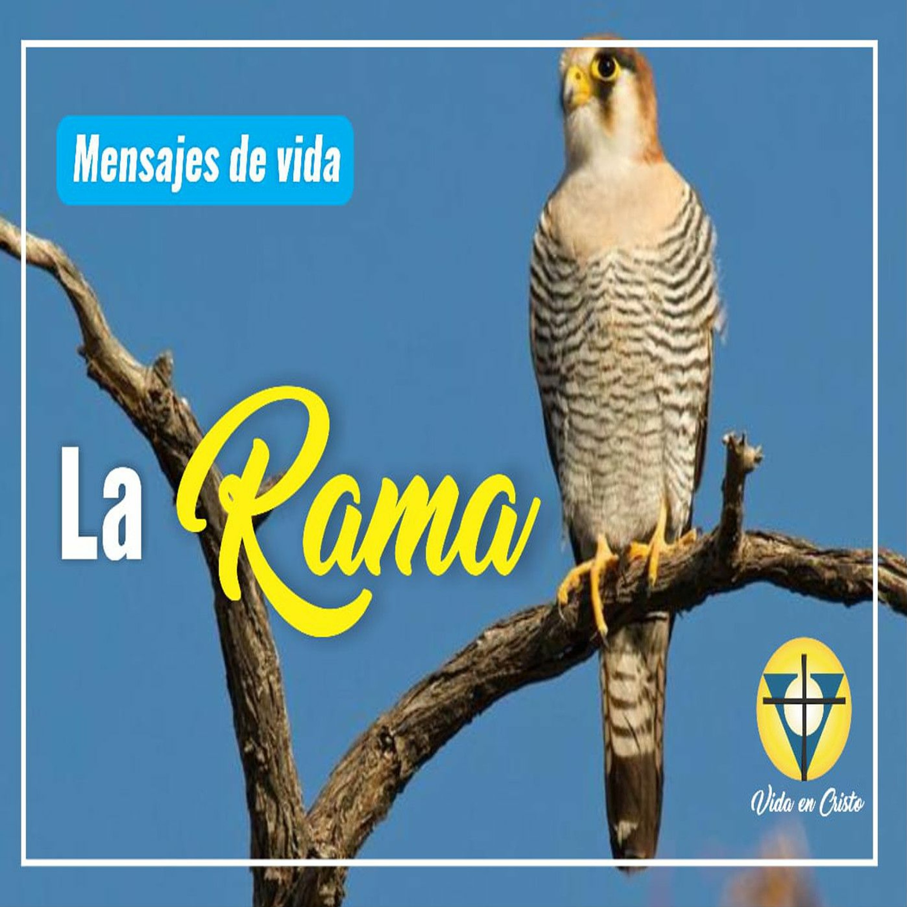 Mensajes de Vida