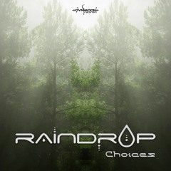 Raindrop - Sacred Moments | Ovnimoon Records