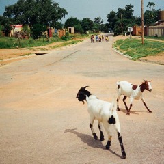 FARMERS - STEP(IN)SIDE