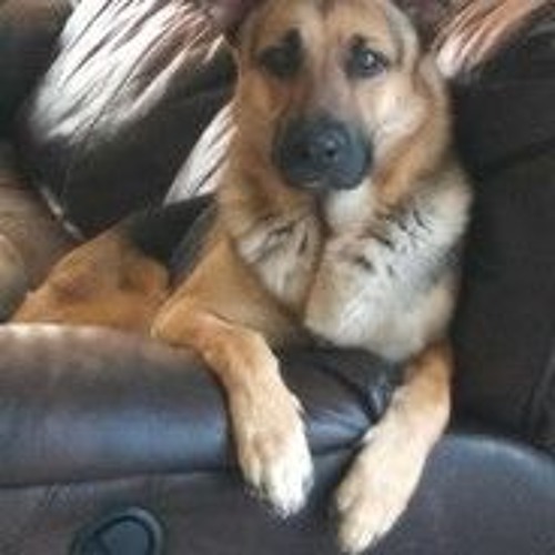 Stream Mateo Bisbal Listen to Music i like in order playlist online for free on SoundCloud