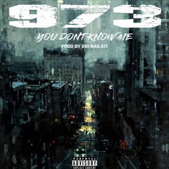 973 - You Dont Know Me (Prod By Gio Nailati)