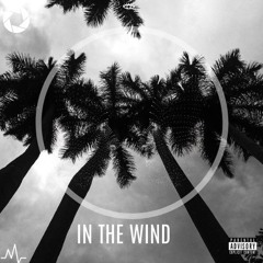 In The Wind [Bonus Track]