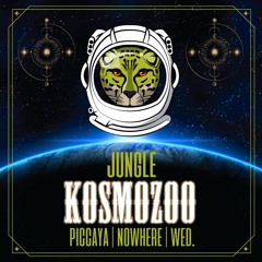 Live @ Kosmozoo • Jungle // Nowhere 2019 (Spain)