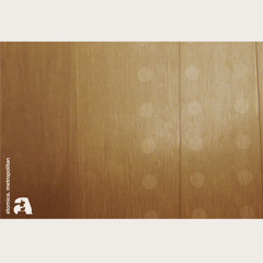 The Atomica Project / Sorrow
