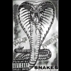 Snakes ft DonnyLoc