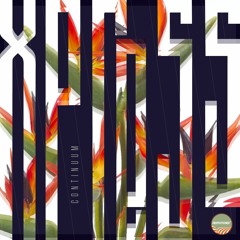 Continuum - Xpress (Remixes )
