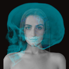 INTRODUCTION. PROJECT : HUMAN