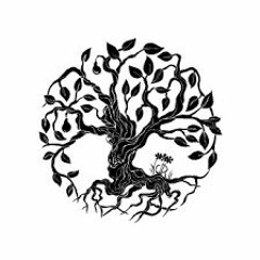 Kyle Anderson & Nyko Camacho-Signs Of Improvement